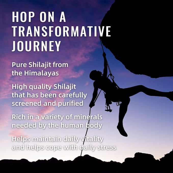 BSYS SHILAJIT GUMMIES