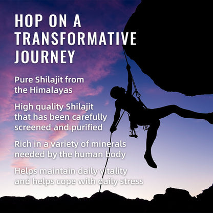 BSYS SHILAJIT GUMMIES